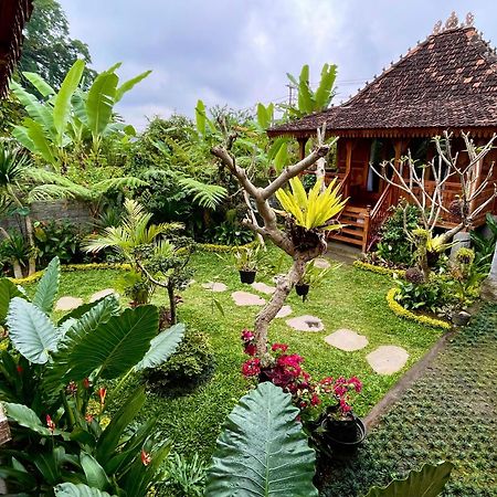 Jane'S House & Spa Bedugul Bali Patjung Zewnętrze zdjęcie